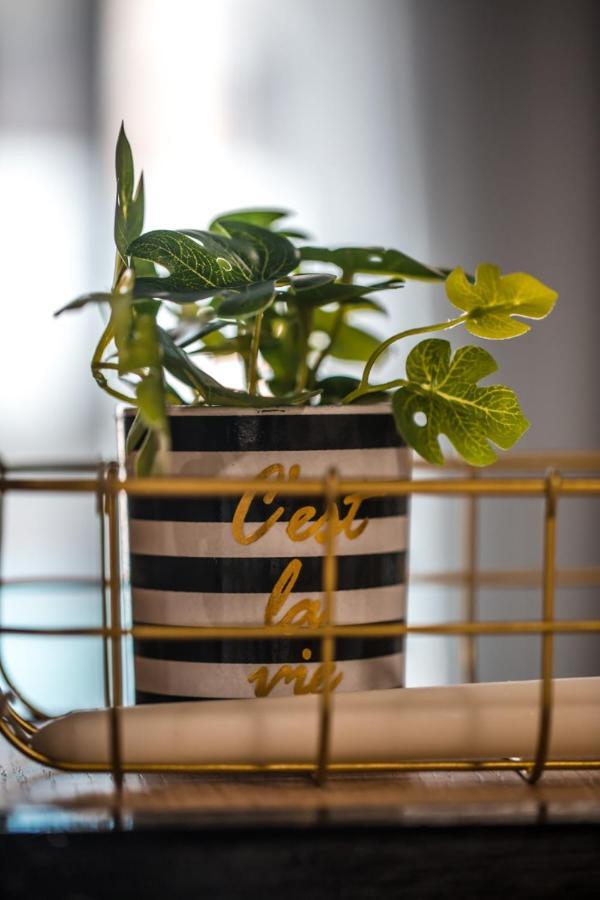 Cosea Living: Seaside Elegant In Harbour 112 Appartement